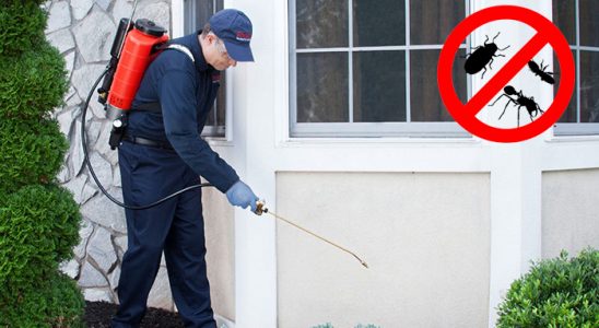 Kırıkkale Tahtakurusu İlaçlama böcek ilaçlama ve haşere kontrolü — ilaclama-tr.com